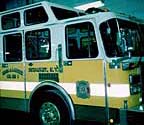Safety Yellow
